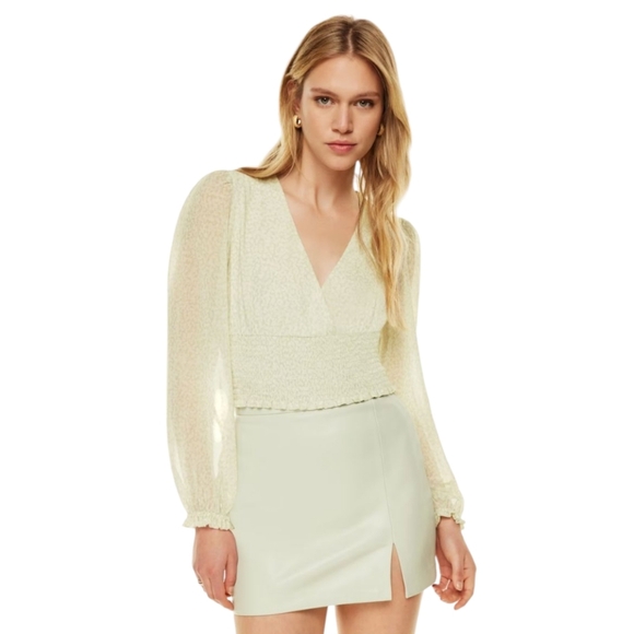 Aritzia Wilfred Wistful Blouse Smocked V Neck Women's Medium - Picture 1 of 8